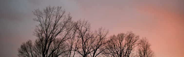 Masthead header
